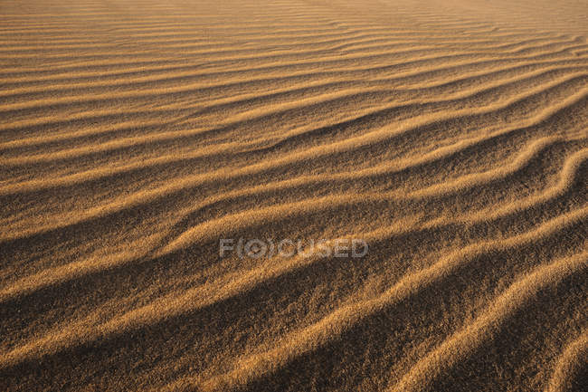 Paesaggio pittoresco di spiaggia sabbiosa ondulata strutturata di costa remota a Tarifa, Spagna — Foto stock