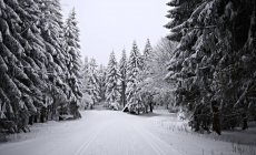 Beautiful view along snowy forest trail — Stock Photo