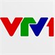 Lịch phát sóng VTV1 hôm nay 01/02/2025