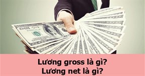 Bảng quy đổi Lương Gross ⇔ NET online