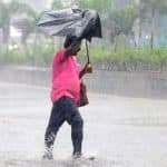 Tamil Nadu Weather Forecast: IMD Issues Heavy Rain Alert for These Districts on March 11-12; Residents Living Near Tamiraparani and Korampallam Rivers Advised To Avoid River Bathing