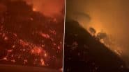 Los Angeles Wildfire: California Governor Gavin Newsom Declares Emergency as Flames Engulf Pacific Palisades, Horrifying Videos Surface