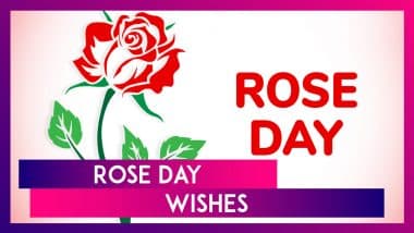 Rose Day 2025 Wishes, Greetings, Messages and Love Quotes To Send to Your Partner