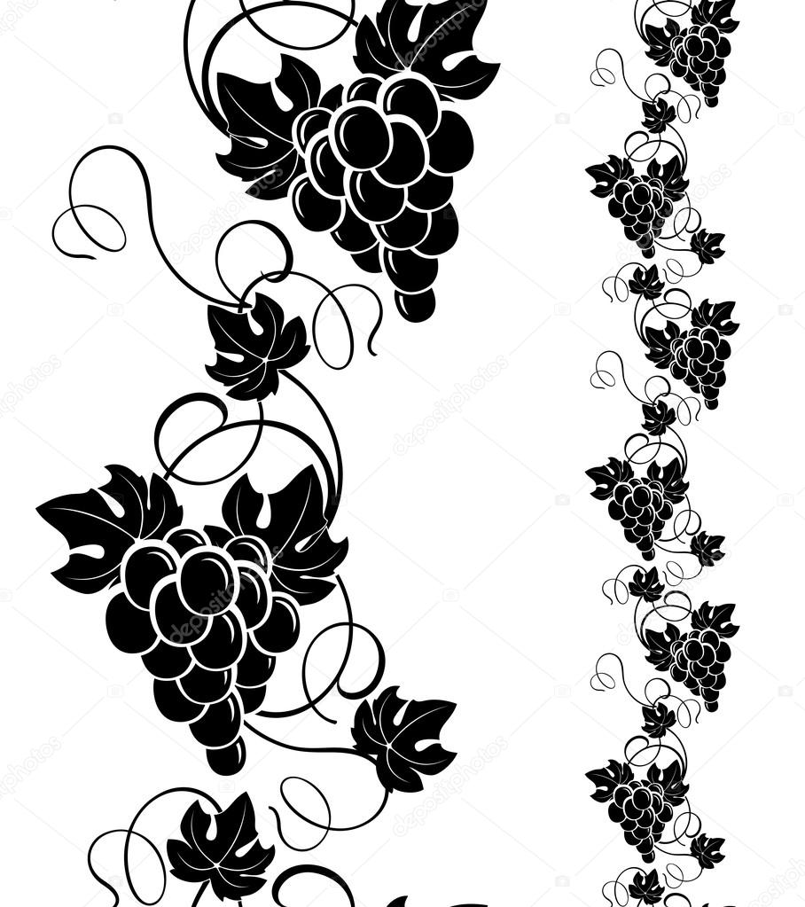 Grape Vine Vector