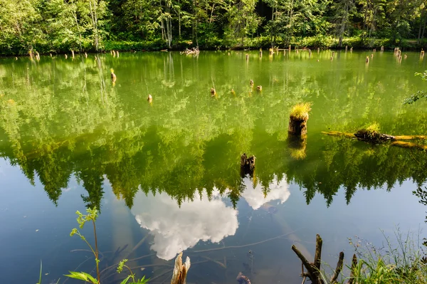 Lacul Rosu the Red Lake, Eastern Carpathians, Romania