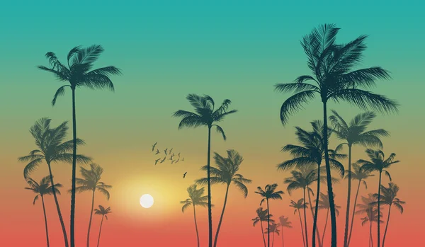 Palm trees at sunset — Stock Vector © dahabians #12404153