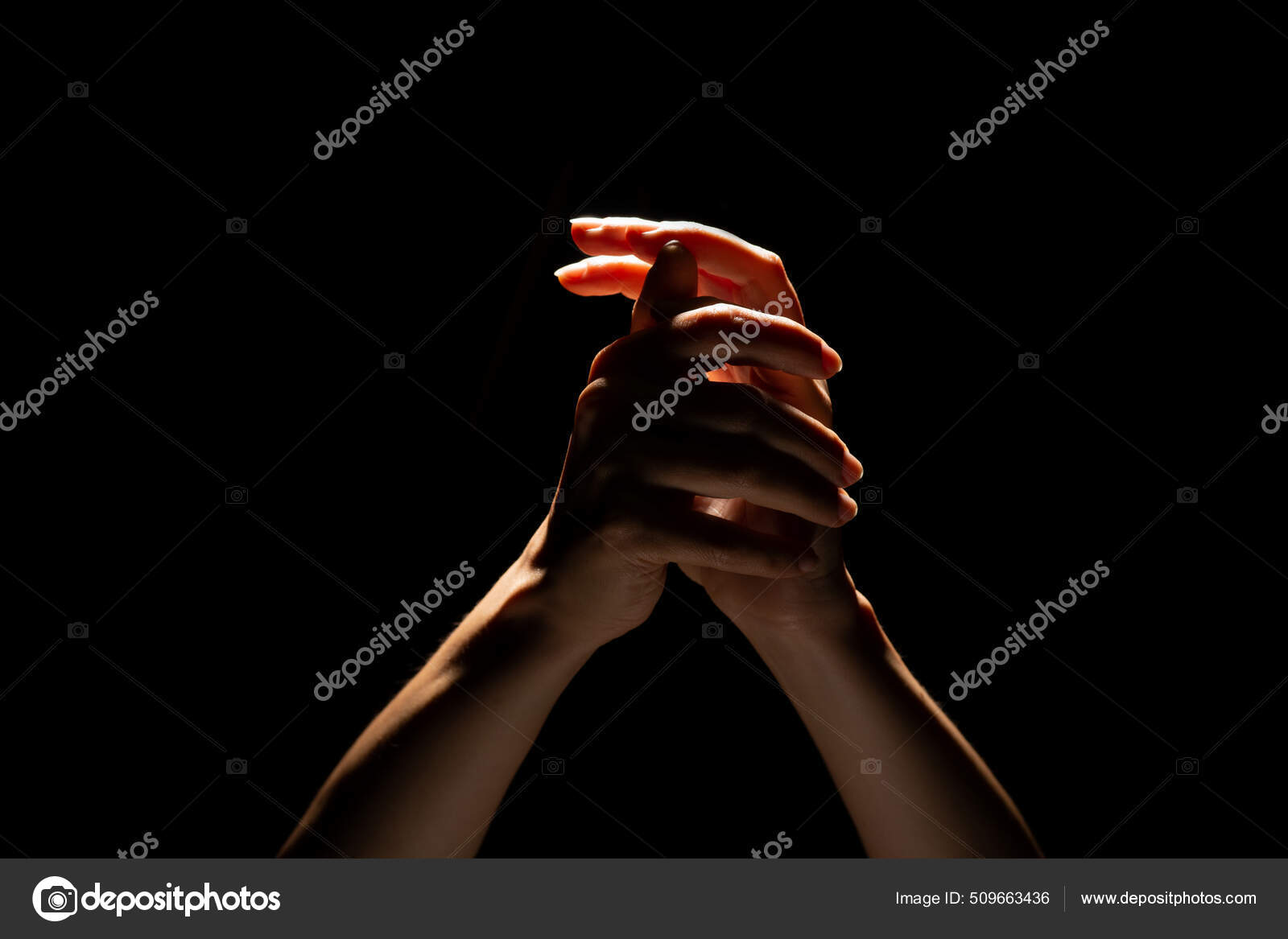 Praying hands on a black background. Light from above. Hands folded in  prayer. Stock Photo by ©trismegist@ 509663436