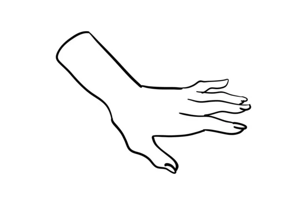 Back Of Hand Clip Art