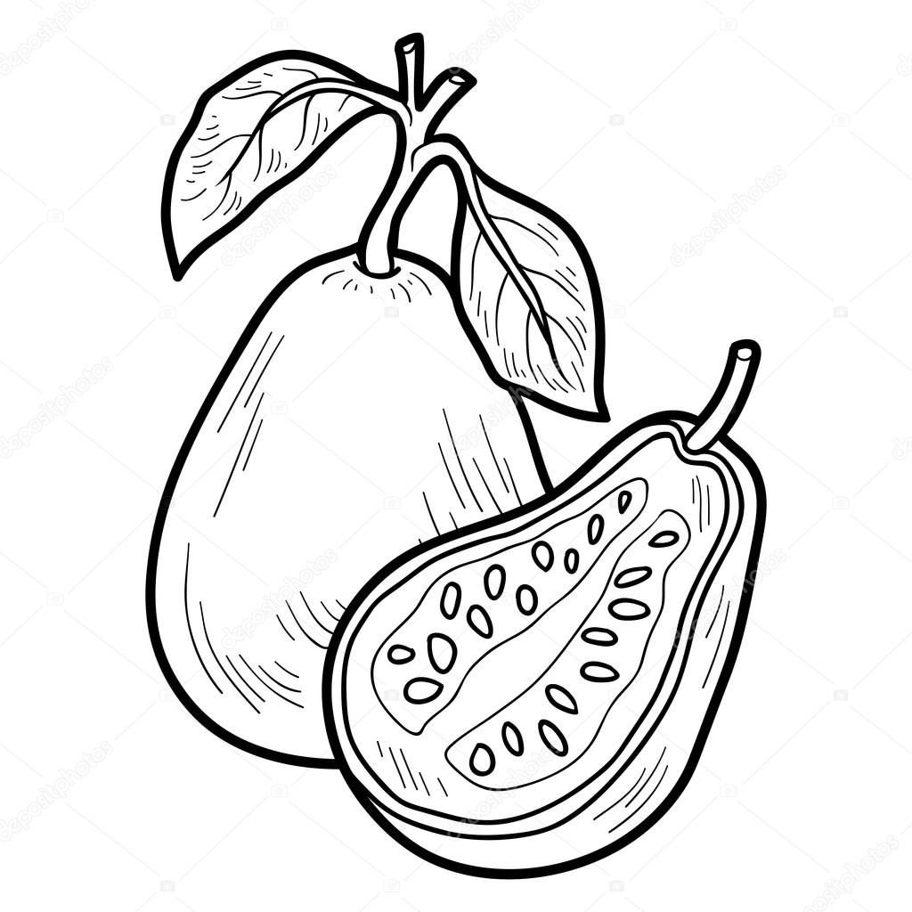 Guava Clip Art Black And White