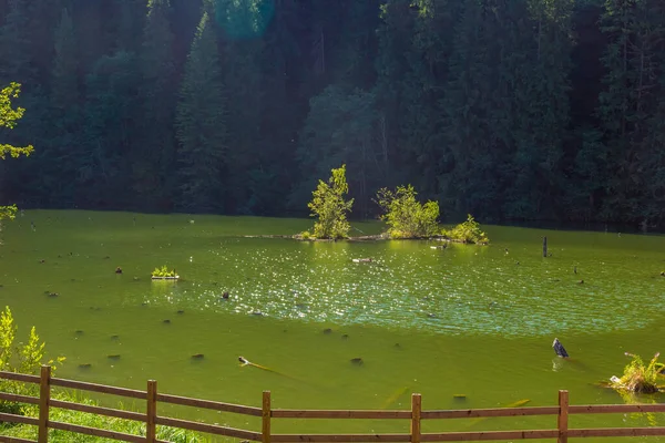 Lacu Rosu, Red Lake in Romania