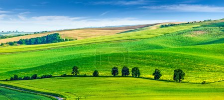 Foto de Panorama del paisaje ondulado de Moravia con árboles. Moravia del Sur, República Checa - Imagen libre de derechos