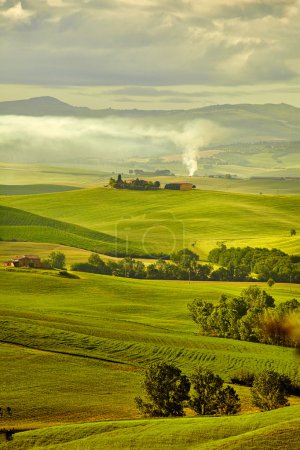 Foto de Verdes colinas y hermosos colores de la primavera en Toscana - Imagen libre de derechos