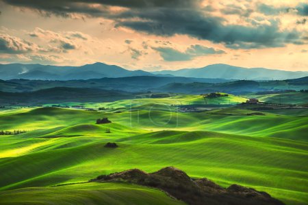 Foto de Primavera Toscana, colinas onduladas al atardecer. Paisaje rural. Campos verdes y tierras de cultivo. Volterra Italia, Europa - Imagen libre de derechos