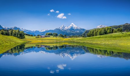 Foto de Vista panorámica del idílico paisaje de verano en los Alpes con un lago de montaña claro y pastos verdes frescos de montaña en el fondo - Imagen libre de derechos