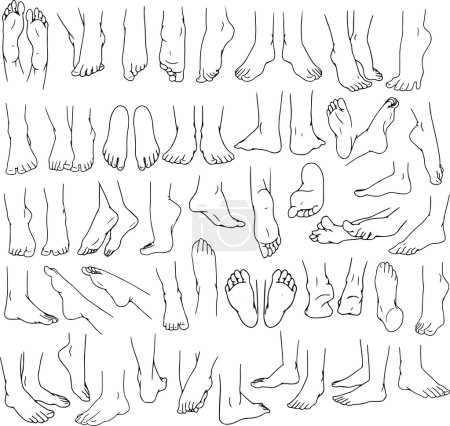 Illustration for Vector illustrations lineart pack of human feet in various gestures. - Royalty Free Image