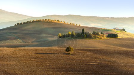 Foto de El sol poniente sobre el valle de la Orcia en Toscana, Italia - Imagen libre de derechos