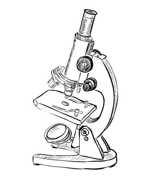 Science microscope sketch ⬇ Vector Image by © lhfgraphics | Vector ...