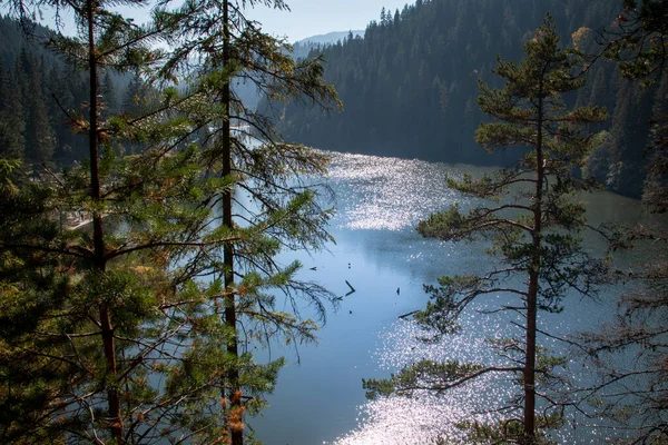 Lacul Rosu (Red Lake) is a natural dam lake formed following the collapse of a slope due to the earthquake of 23 January 1838, at the foot of Mount Hasmasul Mare, near the Bicaz gorge, at a distance of 26 km from Gheorgheni, in Harghita county. Roman