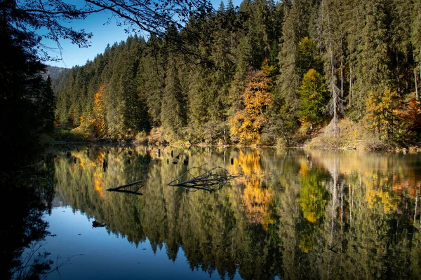 Lacul Rosu (Red Lake) is a natural dam lake formed following the collapse of a slope due to the earthquake of 23 January 1838, at the foot of Mount Hasmasul Mare, near the Bicaz gorge, at a distance of 26 km from Gheorgheni, in Harghita county. Roman