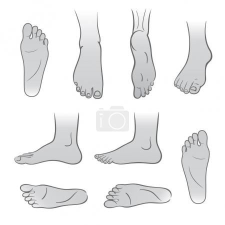 Illustration for Closeup outlined grey man feet isolated on white background, vector illustration. You can use this image for fashion design and etc. - Royalty Free Image