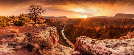 Foto de El Gran Cañón. Toroweap, Arizona, Estados Unidos - Imagen libre de derechos