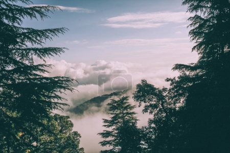 Foto de Árboles siempreverdes y hermosas montañas con nubes en el Himalaya indio - Imagen libre de derechos