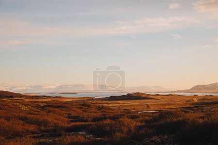 Foto de Hermoso paisaje icelandés con hierba seca en la costa y montañas escénicas en el horizonte - Imagen libre de derechos