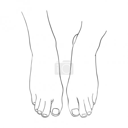 Illustration for Line drawing woman feet isolated at white background, hand drawn illustration - Royalty Free Image