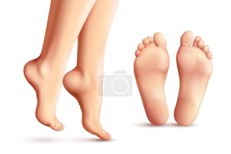 Illustration for Realistic female feet set with legs standing on toes and soles isolated on white background vector illustration - Royalty Free Image