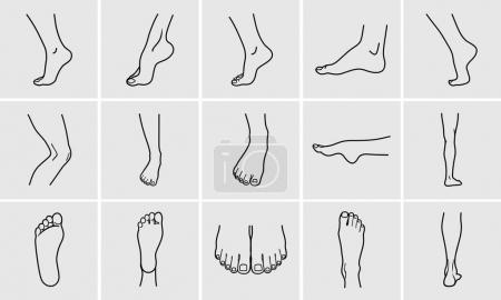 Illustration for Human body parts. Foot care Icons Set. Vector illustrations line art pack of human feet in various gestures. - Royalty Free Image