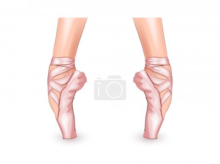 Illustration for Vector illustration of a ballerinas feet in Pointe shoes - Royalty Free Image