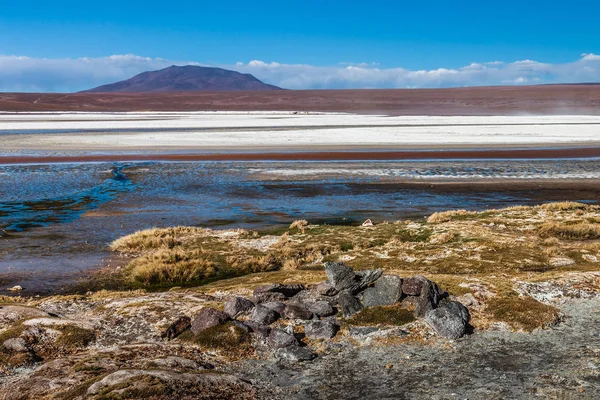 Laguna Colorada, means Red Lake is a shallow salt lake in the southwest of the Altiplano of Bolivia