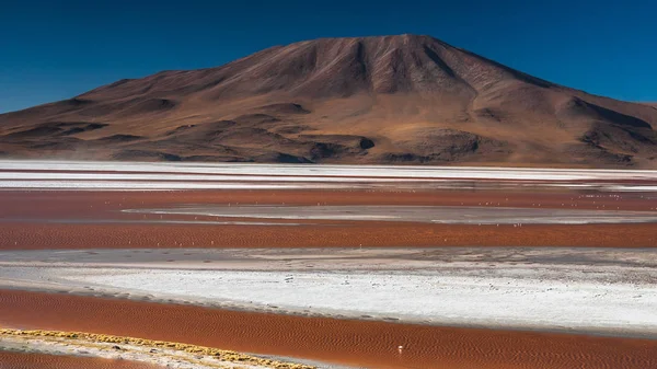 Laguna Colorada, means Red Lake is a shallow salt lake in the southwest of the Altiplano of Bolivia