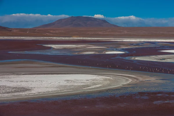 Laguna Colorada, means Red Lake is a shallow salt lake in the southwest of the Altiplano of Bolivia