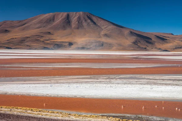 Laguna Colorada, means Red Lake is a shallow salt lake in the southwest of the Altiplano of Bolivia