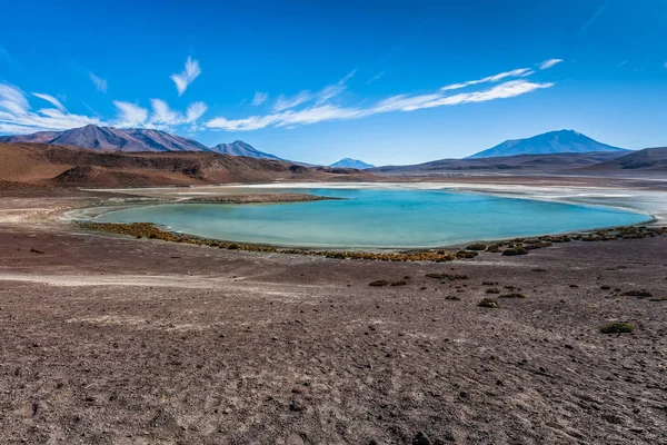 Laguna Colorada, means Red Lake is a shallow salt lake in the southwest of the Altiplano of Bolivia