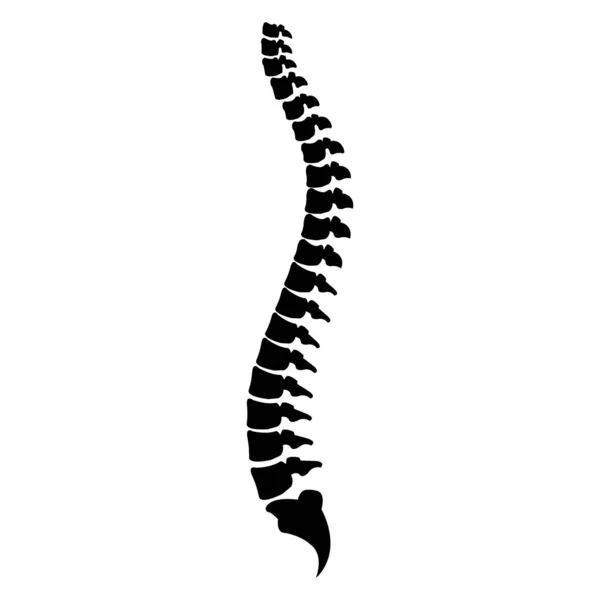 43,661,924 Spine Vector Images | Depositphotos