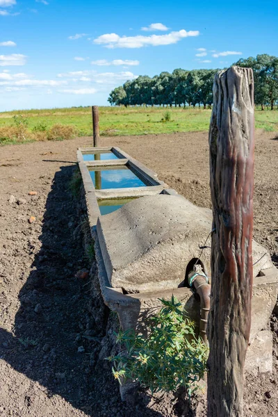 water dump for cows