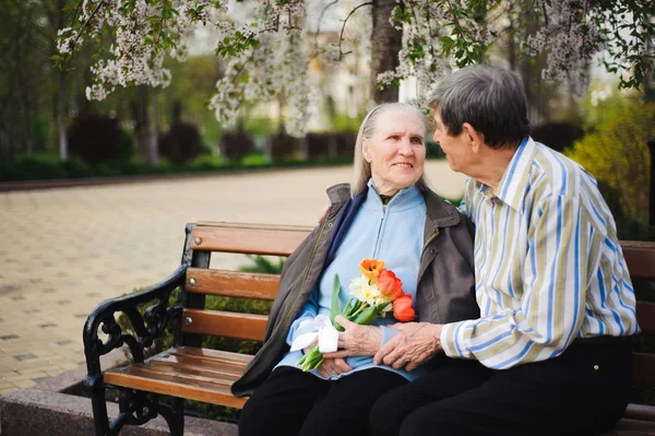 Beautiful happy old people sitting in the autumn park.