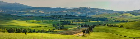 Foto de Hermosos y milagrosos colores de paisaje de primavera verde de la Toscana, Italia
. - Imagen libre de derechos