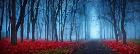 Foto de Hermoso bosque místico en la niebla azul en otoño. Paisaje colorido con árboles encantados con hojas rojas. Bosque nublado de ensueño. Fondo de naturaleza - Imagen libre de derechos