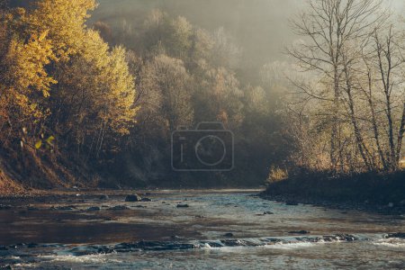 Foto de Tiro dramático de río de montaña y hermosos árboles de oro, Cárpatos, Ucrania - Imagen libre de derechos