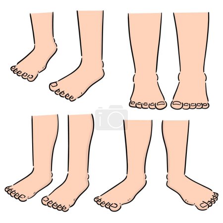 Illustration for Vector set of cartoon leg - Royalty Free Image