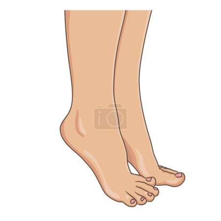 Illustration for Female legs barefoot, side view. Vector illustration, hand drawn cartoon style isolated on white. - Royalty Free Image