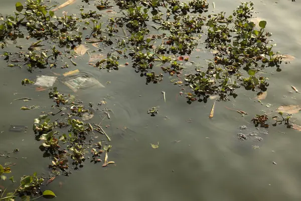 Garbage dump in a Water