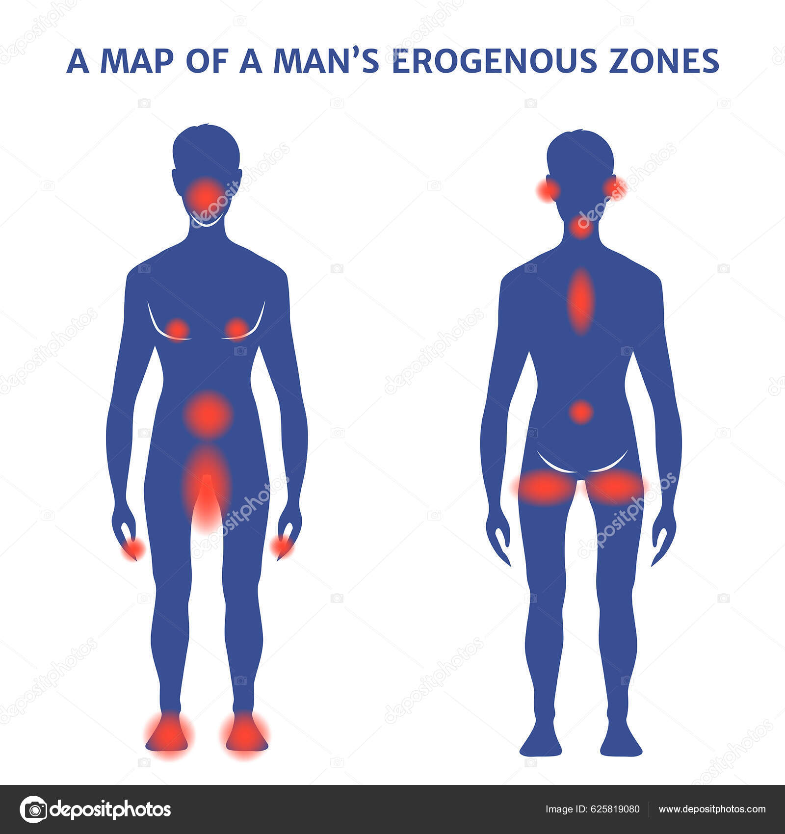 Male Erogenous Zones Silhouette Marks Vector Illustration Stock Vector ...