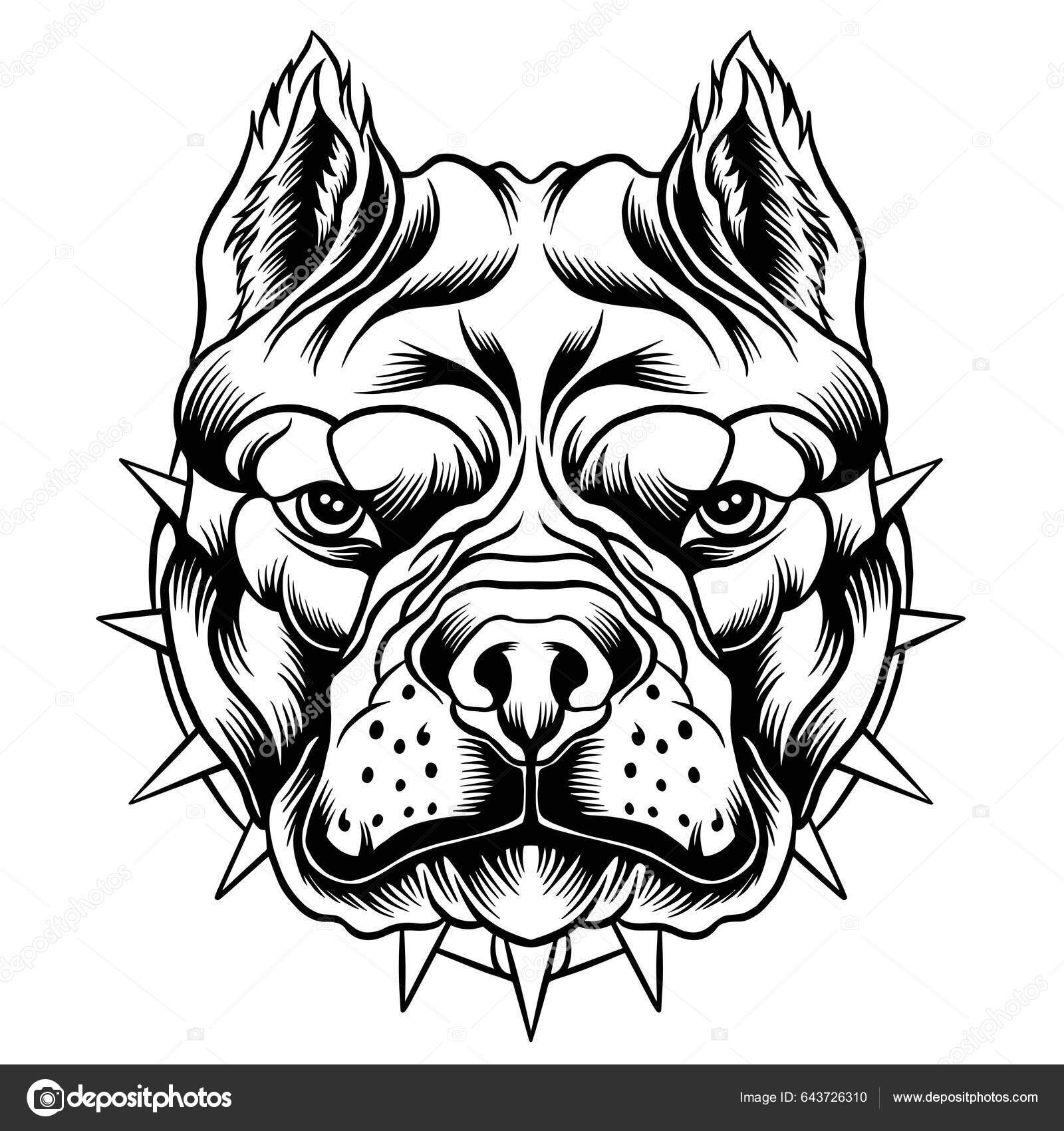 Pitbull Head Vector