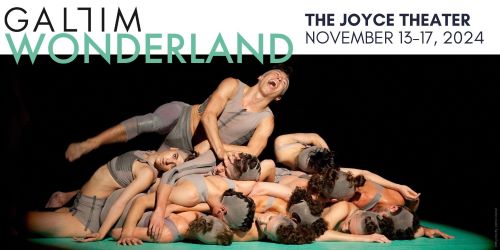 Post image for Dance Review: WONDERLAND (GALLIM at The Joyce)