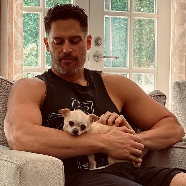 Joe Manganiello (Actor) Wiki, Bio, Age, Height, Weight, Wife, Net Worth, Family, Career, Facts