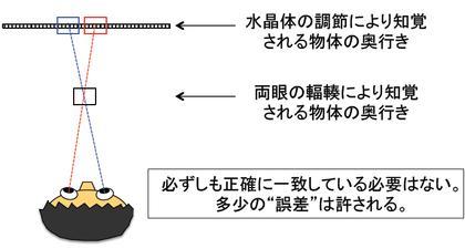 遠藤雅伸公式blog「ゲームの神様」-調節と輻輳の不一致